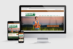 Carter Environmental Services website thumbnail